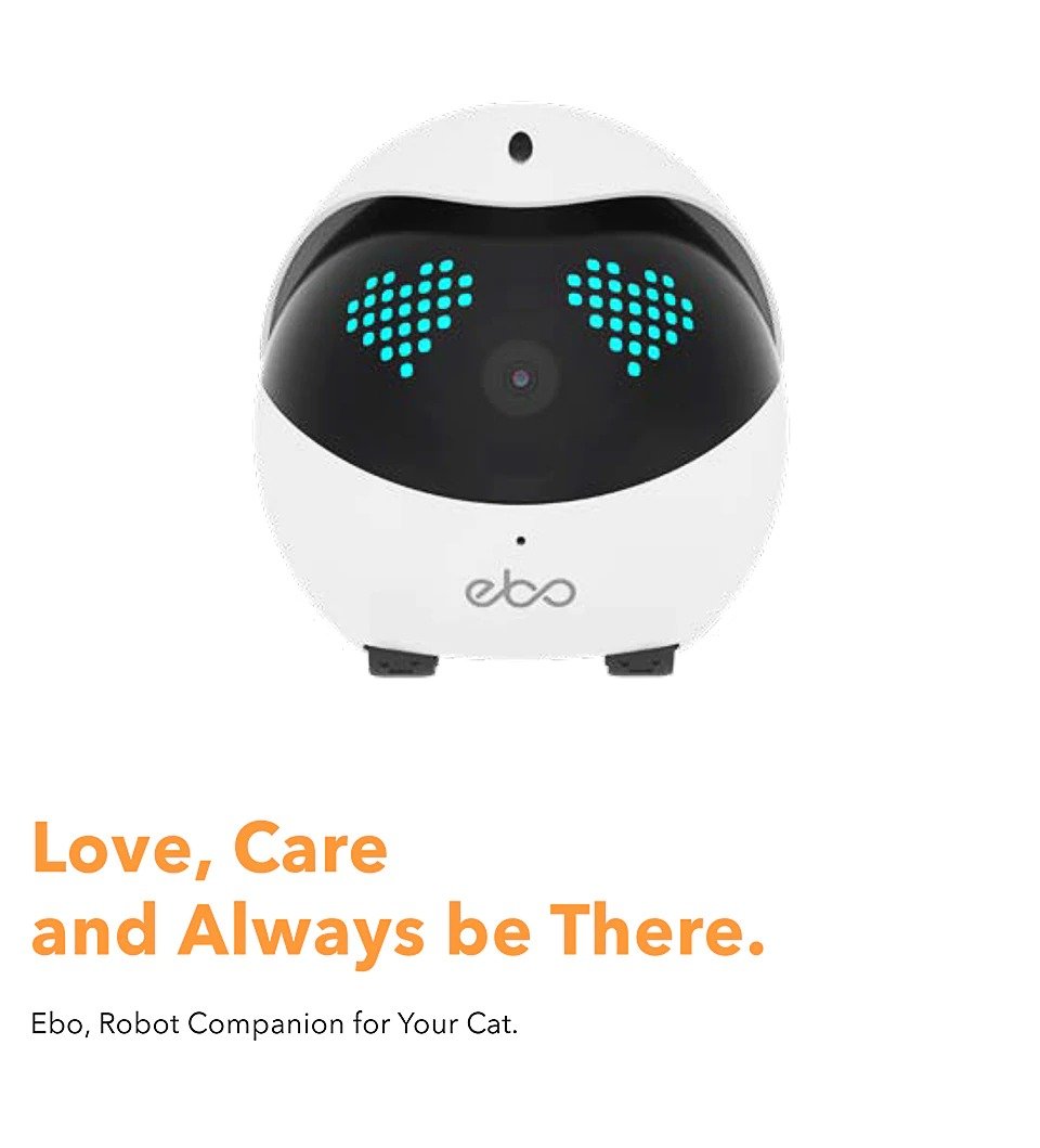 Ebo, The Smart Robot Ebo, The Smart Robot